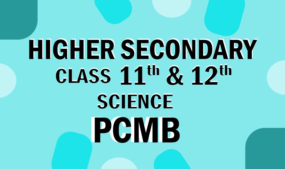 Class 11 & 12 PCMB Course